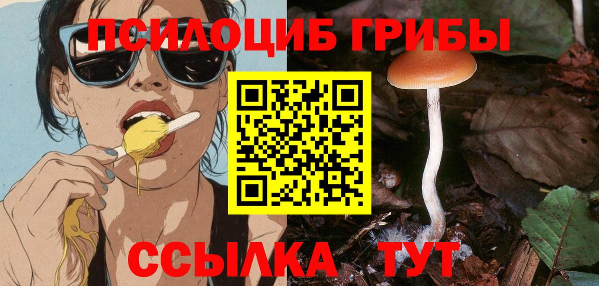 Псилоцибиновые грибы ЛСД  Вход с VPN  Вичуга 